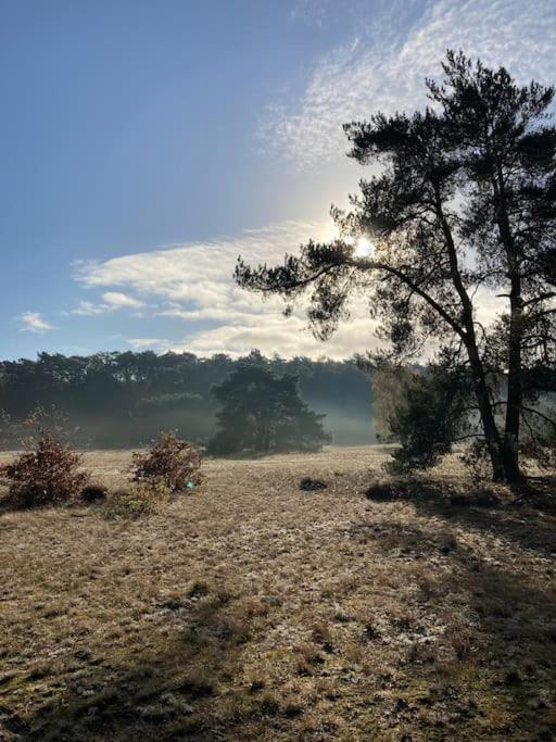 Holiday home Delightful Luxury 2-bedroom In Nature Otterlo